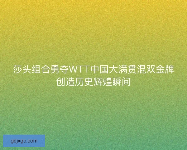 莎头组合勇夺WTT中国大满贯混双金牌创造历史辉煌瞬间
